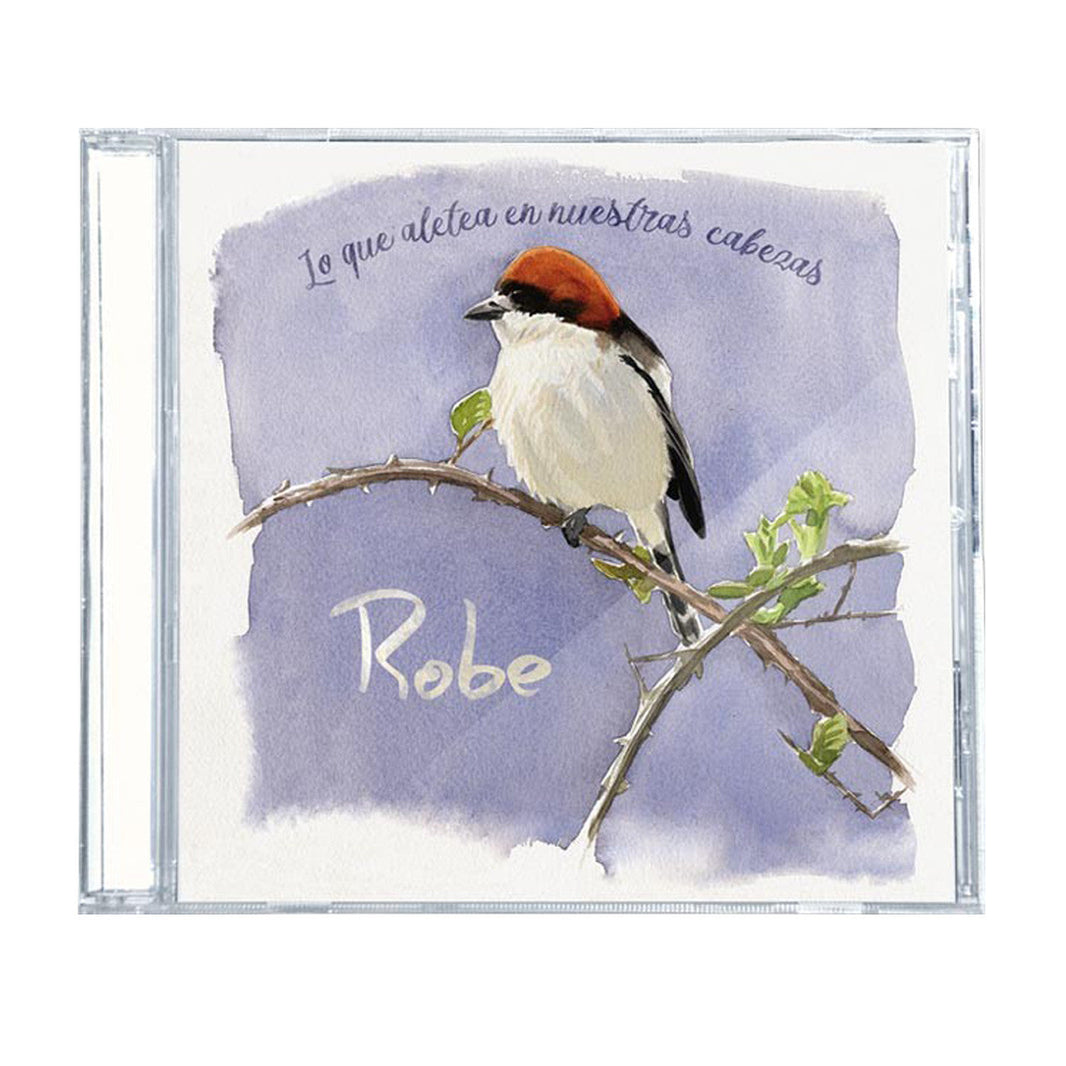 Tienda Oficial de Robe – Robe Oficial